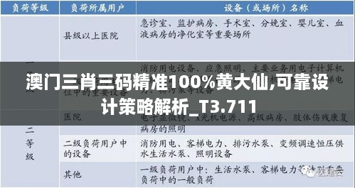 澳门三肖三码精准100%黄大仙,可靠设计策略解析_T3.711