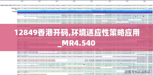 12849香港开码,环境适应性策略应用_MR4.540