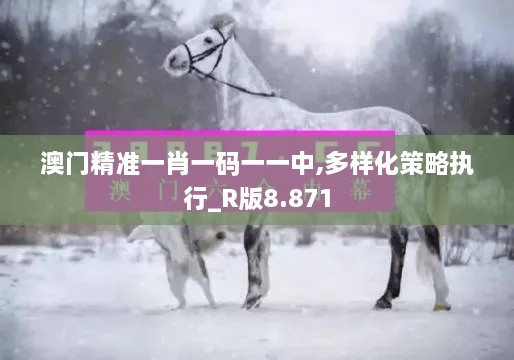 澳门精准一肖一码一一中,多样化策略执行_R版8.871