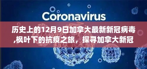 枫叶下的抗疫之旅，探寻加拿大新冠病毒背后的自然美景与内心宁静之路