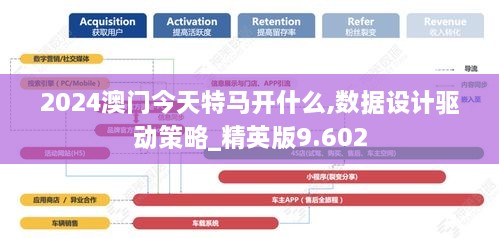 2024澳门今天特马开什么,数据设计驱动策略_精英版9.602