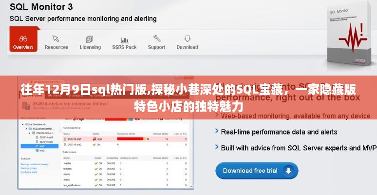 探秘小巷深处的SQL宝藏，特色小店魅力与往年热门版解析