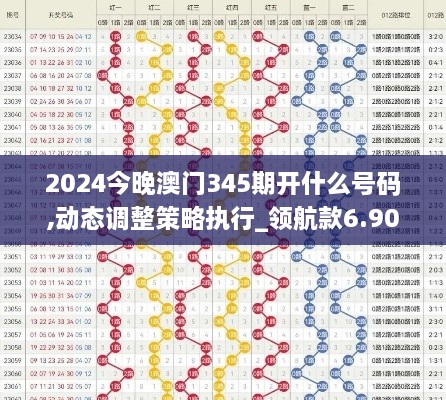 2024今晚澳门345期开什么号码,动态调整策略执行_领航款6.907