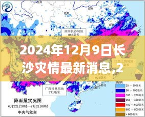 2024年12月9日长沙灾情最新消息全面解析，灾况及应对措施