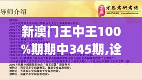 新澳门王中王100%期期中345期,诠释解析落实_Premium4.725