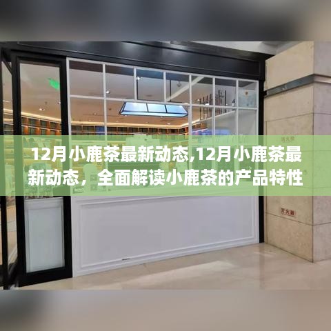 12月小鹿茶最新动态全面解读，产品特性、使用体验与目标用户群体深度分析