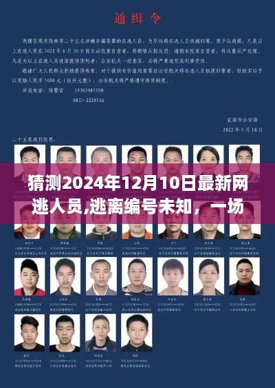 寻找网逃人员的奇妙旅程，逃离编号未知，探寻内心平静之旅（2024年12月10日最新猜测）