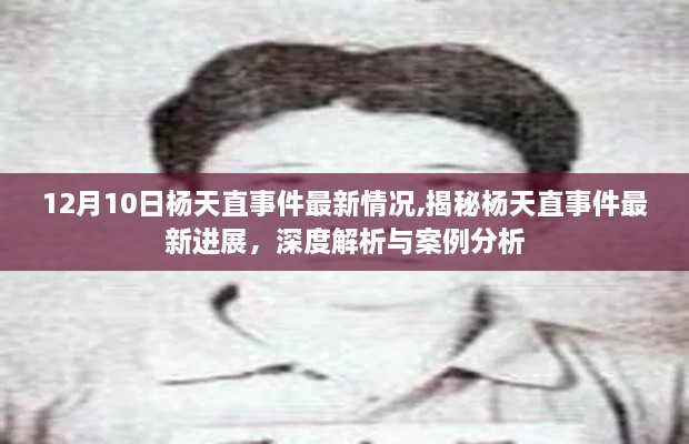 揭秘杨天直事件最新进展，深度解析与案例分析