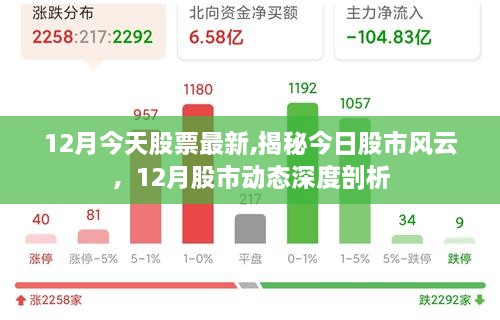 揭秘今日股市风云，深度剖析十二月股市动态与最新股票行情