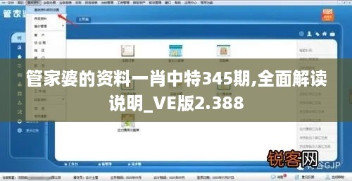 管家婆的资料一肖中特345期,全面解读说明_VE版2.388