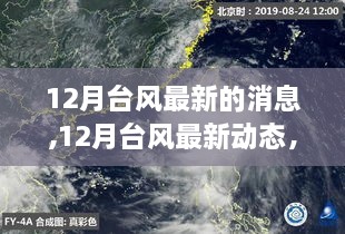 深度解析与案例分析，12月台风最新动态与消息速递