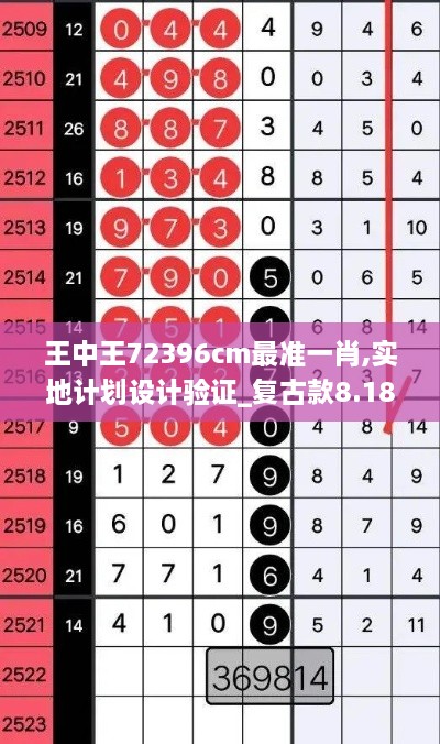 王中王72396cm最准一肖,实地计划设计验证_复古款8.184