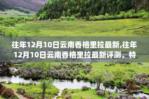 往年12月10日云南香格里拉深度评测，特性、体验、竞品对比及用户分析全解析