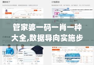 管家婆一码一肖一种大全,数据导向实施步骤_交互版1.315