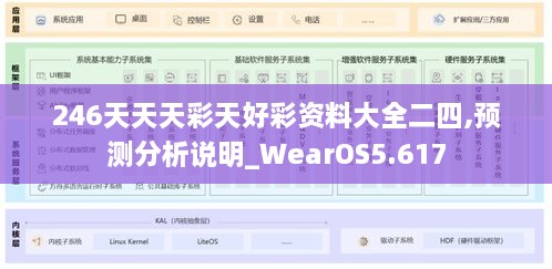 246天天天彩天好彩资料大全二四,预测分析说明_WearOS5.617