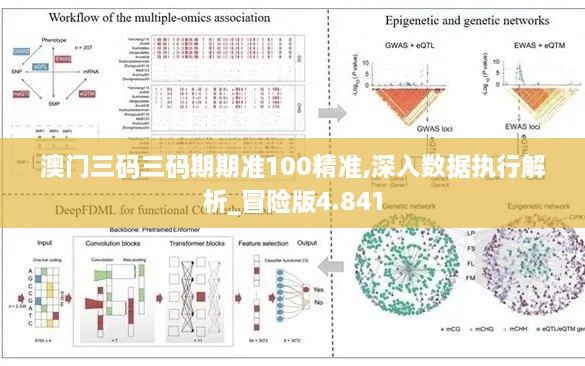 澳门三码三码期期准100精准,深入数据执行解析_冒险版4.841