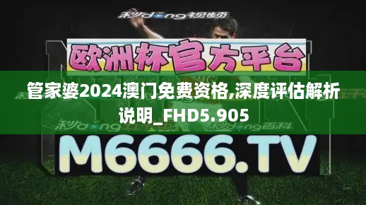 管家婆2024澳门免费资格,深度评估解析说明_FHD5.905