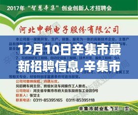 辛集市最新招聘信息发布与多元观点探析