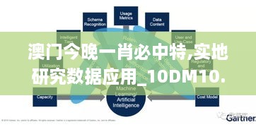 澳门今晚一肖必中特,实地研究数据应用_10DM10.721