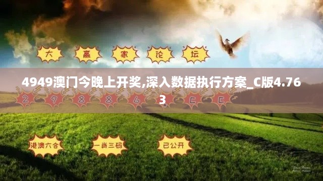 4949澳门今晚上开奖,深入数据执行方案_C版4.763