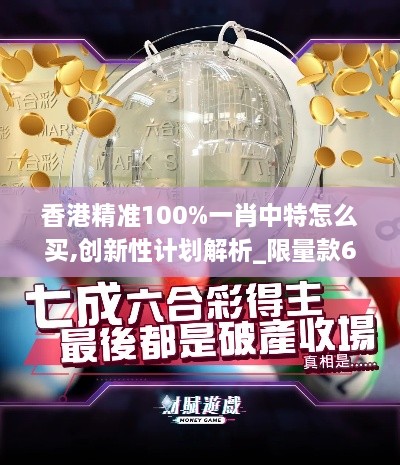 香港精准100%一肖中特怎么买,创新性计划解析_限量款6.523