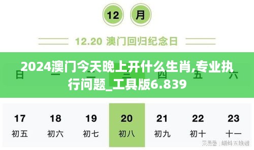 2024澳门今天晚上开什么生肖,专业执行问题_工具版6.839