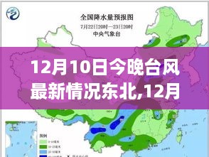 12月10日东北台风最新动态及天气变化影响