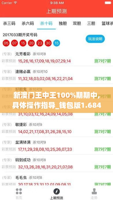 新澳门王中王100%期期中,具体操作指导_钱包版1.684