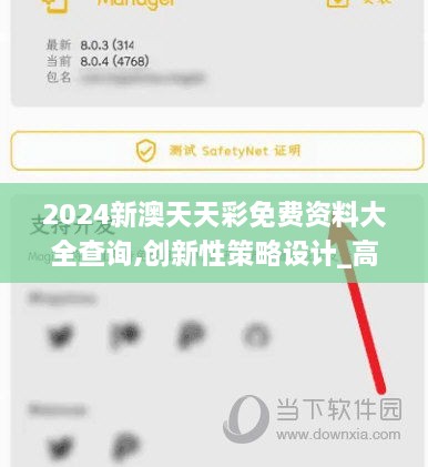 2024新澳天天彩免费资料大全查询,创新性策略设计_高级款9.173