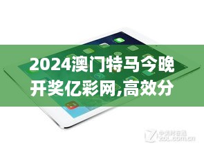 2024澳门特马今晚开奖亿彩网,高效分析说明_iPad6.980