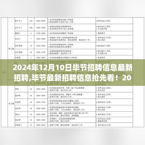 2024年12月毕节最新招聘信息发布，求职者福音来袭