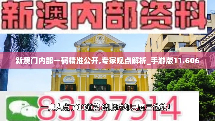 新澳门内部一码精准公开,专家观点解析_手游版11.606