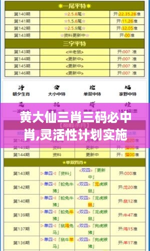 黄大仙三肖三码必中肖,灵活性计划实施_复刻版4.845