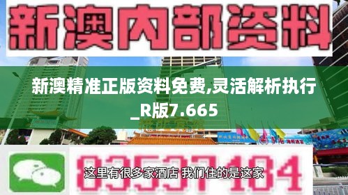 新澳精准正版资料免费,灵活解析执行_R版7.665