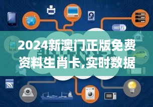 2024新澳门正版免费资料生肖卡,实时数据解释定义_eShop13.327