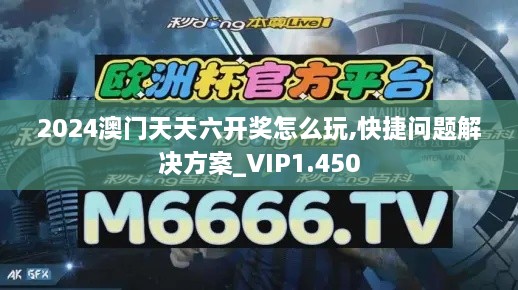 2024澳门天天六开奖怎么玩,快捷问题解决方案_VIP1.450