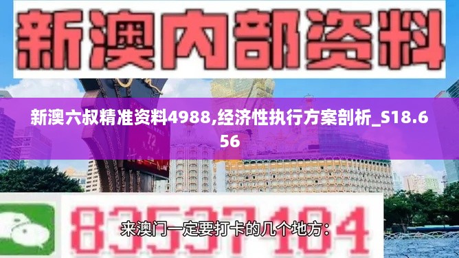 新澳六叔精准资料4988,经济性执行方案剖析_S18.656