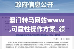 澳门特马网站www,可靠性操作方案_领航版8.113