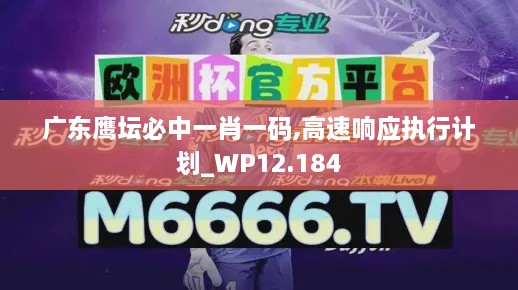 广东鹰坛必中一肖一码,高速响应执行计划_WP12.184