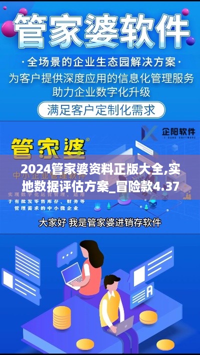 2024管家婆资料正版大全,实地数据评估方案_冒险款4.373