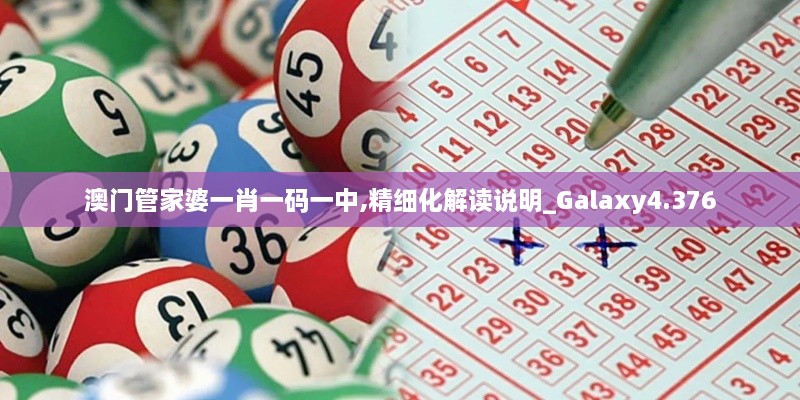 澳门管家婆一肖一码一中,精细化解读说明_Galaxy4.376