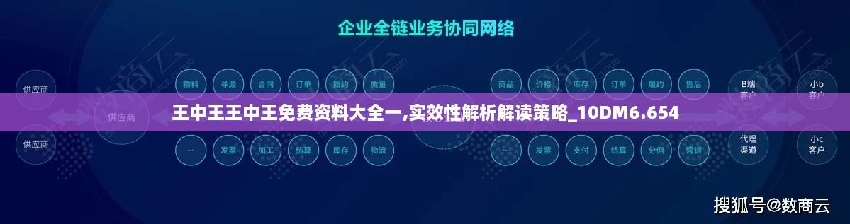 王中王王中王免费资料大全一,实效性解析解读策略_10DM6.654