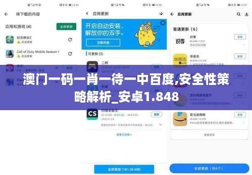 澳门一码一肖一待一中百度,安全性策略解析_安卓1.848