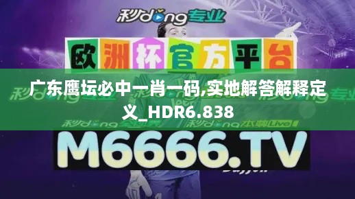 广东鹰坛必中一肖一码,实地解答解释定义_HDR6.838