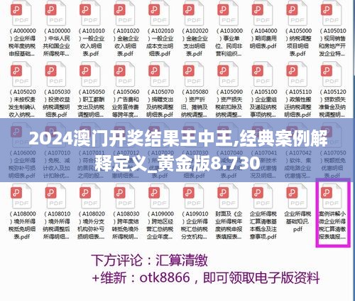 2O24澳门开奖结果王中王,经典案例解释定义_黄金版8.730