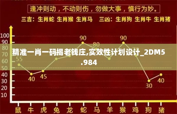 精准一肖一码揭老钱庄,实效性计划设计_2DM5.984