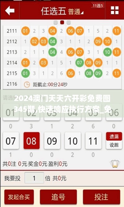 2024澳门天天六开彩免费图345期,快速响应执行方案_免费版8.819