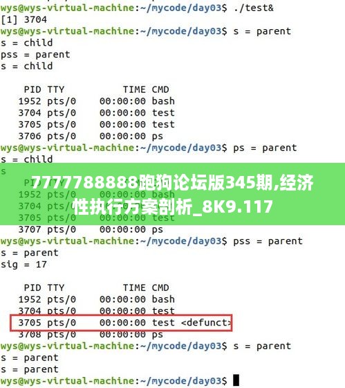 7777788888跑狗论坛版345期,经济性执行方案剖析_8K9.117