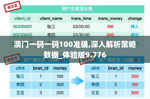 澳门一码一码100准确,深入解析策略数据_体验版9.776