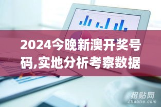 2024年12月12日 第33页